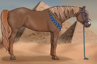 Horse Color:Chestnut Frame 