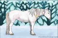 Horse Color:Silver Bay Ice Splash Tobiano 