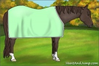 Horse Color:Liver Red Roan 