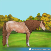 Horse Color:Brown Ice Pearl