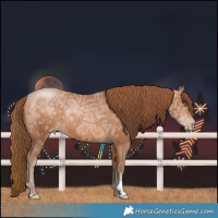Horse Color:Brown Ice Pearl 