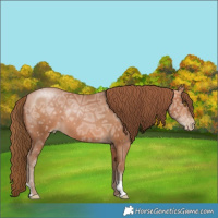 Horse Color:Brown Ice Pearl
