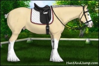 Horse Color:Silver Classic Cream Champagne Dun Splash 