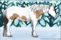 Horse Color:Bay Dun Splash Tobiano 