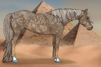 Horse Color:Chocolate Palomino Ice