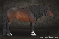 Horse Color:Brown Sabino Rabicano