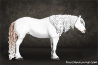 Horse Color:Chestnut Sabino Appaloosa Rabicano