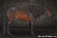 Horse Color:Brown Sabino Rabicano 
