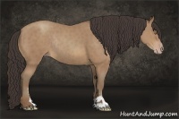 Horse Color:Sable Champagne Sabino Rabicano