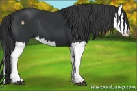 Horse Color:Black Splash