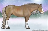 Horse Color:White Spotted Chocolate Palomino Sabino Splash