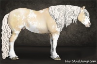 Horse Color:Silver Classic Champagne Pearl Sabino