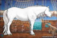 Horse Color:Perlino Ice Splash Appaloosa Rabicano 