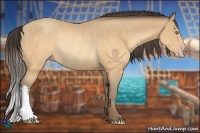 Horse Color:Sable Cream Champagne Rabicano