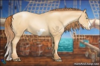 Horse Color:Sable Champagne Pearl Frame