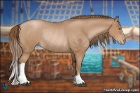 Horse Color:Brown Pearl Rabicano