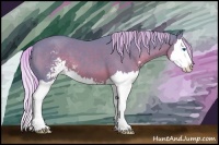 Horse Color:Watercolor Silver Black Sabino Splash