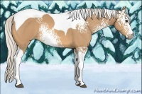 Horse Color:White Spotted Silver Buckskin Tobiano 