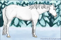 Horse Color:White Spotted Silver Perlino Tobiano Appaloosa Rabicano 