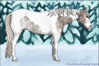 Horse Color:White Spotted Silver Black Tobiano 