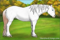 Horse Color:White Spotted Classic Champagne Splash Tobiano Appaloosa 