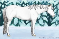 Horse Color:Amber Champagne Splash Tobiano 
