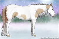 Horse Color:Red Dun Ice Splash Tobiano 