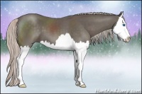 Horse Color:Silver Black Sabino Splash