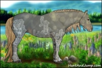 Horse Color:Liver Chestnut Ice 