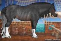 Horse Color:Brown Rabicano 