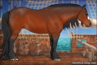Horse Color:Brown 
