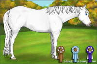 Horse Color:Gray Buckskin Sabino Splash