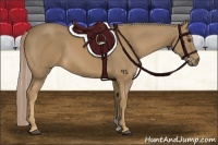 Horse Color:Palomino 