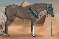 Horse Color:Silver Black 