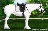 Horse Color:Silver Amber Champagne Dun Sabino Splash Frame 