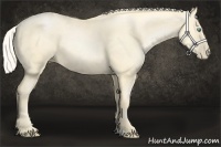 Horse Color:Palomino Pearl