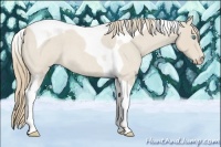 Horse Color:Smoky Creme Roan Tobiano 