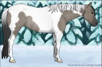 Horse Color:Smoky Grullo Tobiano Rabicano