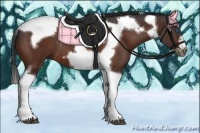 Horse Color:Bay Splash Tobiano Frame Rabicano