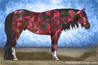 Horse Color:Bay Rabicano