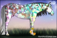 Horse Color:Bay Sabino Splash Rabicano