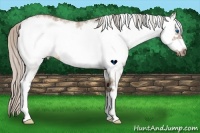 Horse Color:White Spotted Silver Bay Roan Dun Frame