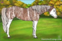 Horse Color:Silver Bay Ice Splash 