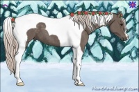 Horse Color:Silver Black Tobiano 