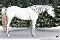 Horse Color:Bay Pearl Frame Appaloosa