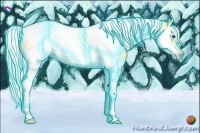 Horse Color:Thunderstruck Silver Amber Cream Champagne Dun Splash Tobiano Frame 