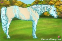 Horse Color:Thunderstruck Silver Classic Champagne Dun Splash 