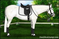 Horse Color:Silver Perlino Roan Frame 