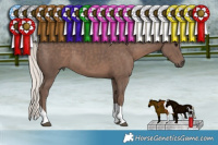 Horse Color:Silver Black Tobiano