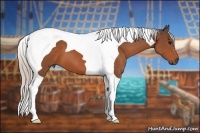 Horse Color:Silver Bay Tobiano